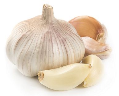 پودر سیر چینی مناسب تولید کنندگان مواد غذایی